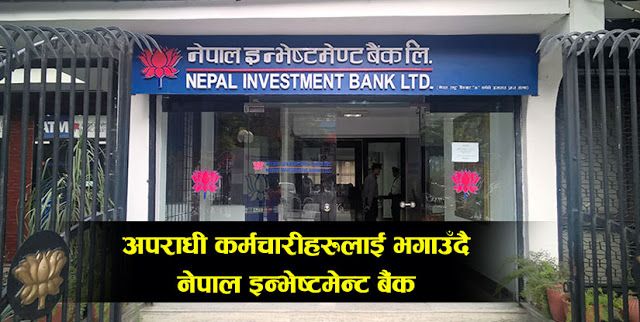 नेपाल इन्भेष्टमेन्ट बैंकमा व्यवस्थापनको यस्तो हर्कत, नक्कली सर्टिफिकेट भएका कर्मचारीहरुलाई भगाइंदै !