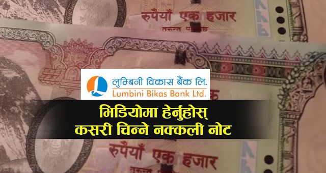 लुम्बिनी बिकास बैंकका ग्राहकहरु होसियार ! एउटै शाखामा १ हप्ताभित्र ५ वटा नक्कली नोट भेटिए ! (भिडियोसहित)