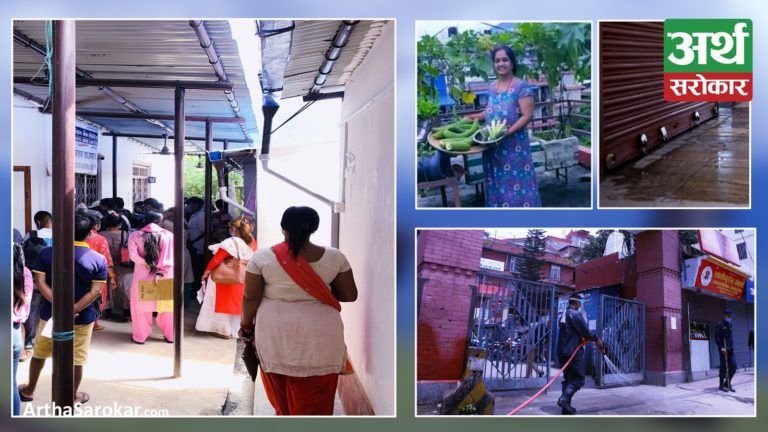 देश बोल्ने फोटो कथा : राजस्व कार्यालय दमौलीमा सेवाग्राहीको ब्यापक भिड, कौसी खेतीबाट आत्मनिर्भर बन्दै महिला !