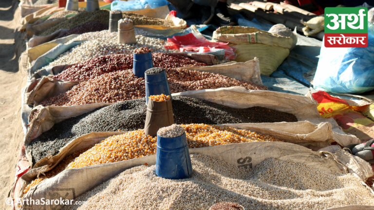 शालीनदीमा अन्नको व्यापारः दालमा रंग दलेर ठगी (फोटो-कथा)
