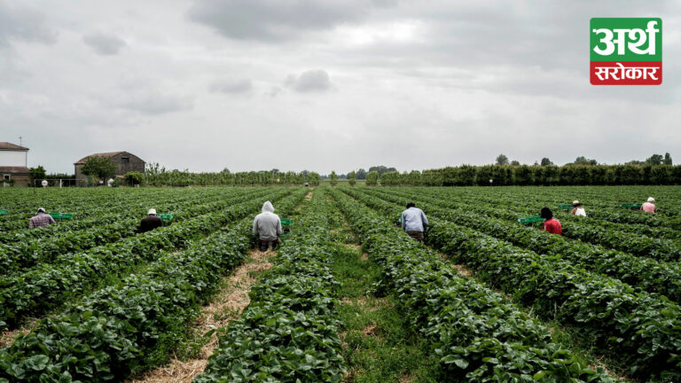 गर्मीले इटलीको कृषि क्षेत्रमा ६ बिलियन युरो नोक्शान हुने अनुमान