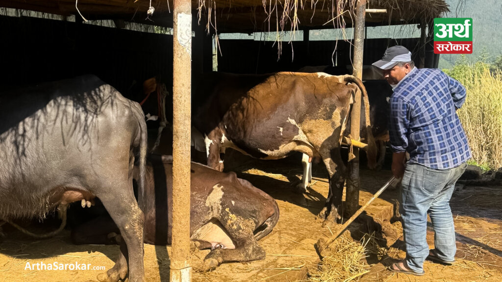 दूध बेचेर वार्षिक ३० लाख आम्दानी