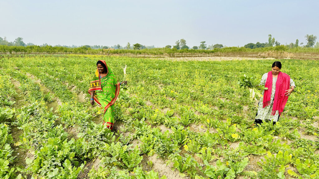 सामूहिक खेती गरेर आत्मनिर्भर बन्दै सिसवोनीका दलित महिला