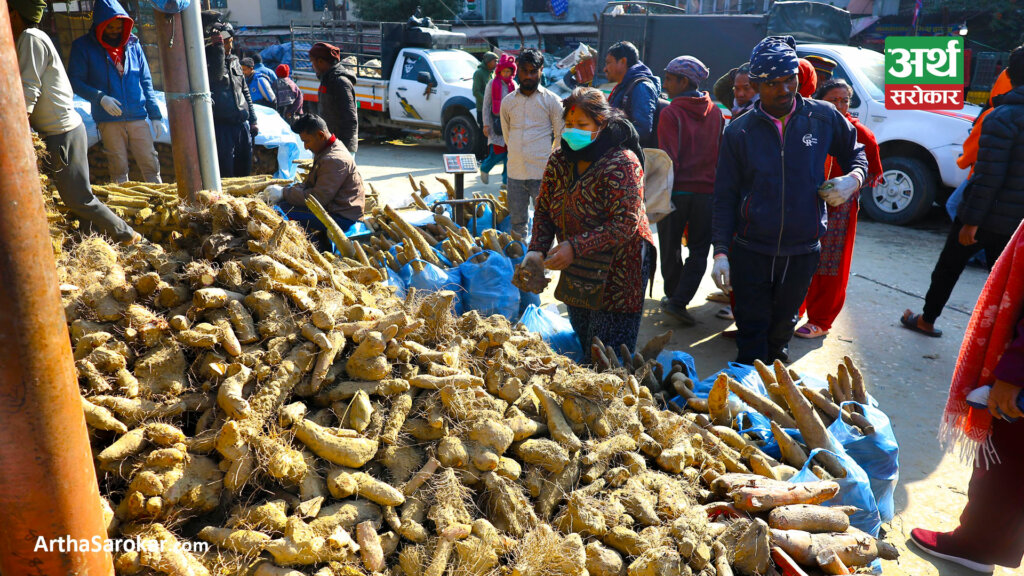 माघे संक्रान्तिः व्यापारीलाई तरुल बेच्न भ्याइनभ्याई (तस्विरहरु) 