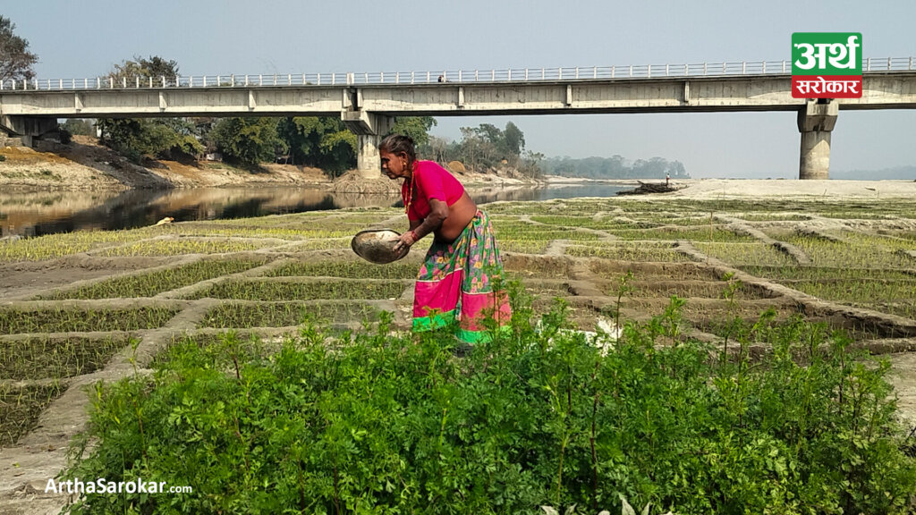 बगरखेतीले फेरिँदै फाँटाका किसानको जीवन